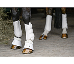 Gu�tres de dressage  All Day ant�rieurs