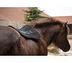 Amortisseur confort  Anda