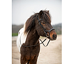 Bridon anatomique  Linur