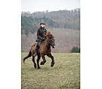 Bridon anatomique  Linur