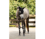 Genouill�res  Ceramic Rehab