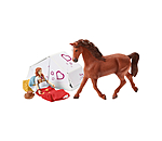 Aventure avec voiture et van  Horse Club