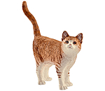 Chat  Farm World