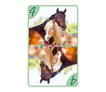 8 amricain  Amis des chevaux