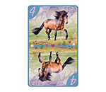 8 amricain  Amis des chevaux