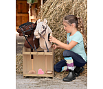 Kit de pansage  Hobby Horse