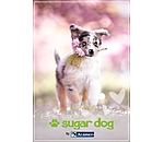 Bon cadeau  imprimer