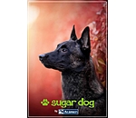 Bon cadeau � imprimer