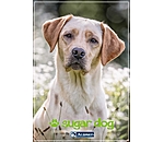 Bon cadeau � imprimer