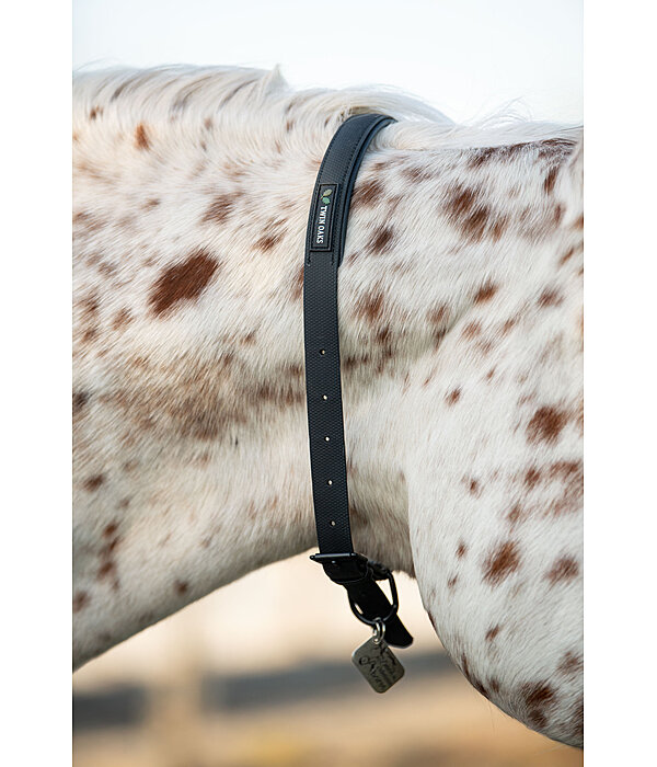 Collier d'encolure  Loki