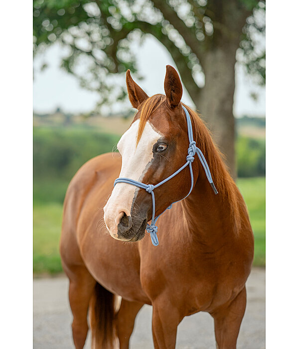 Licol �thologique  Bo