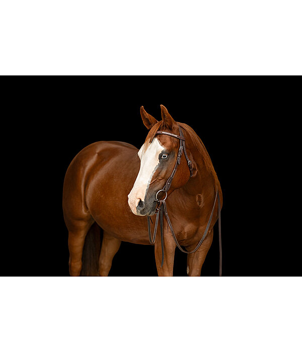 Frontal � strass Mix & Match  Futurity Knot Crystal