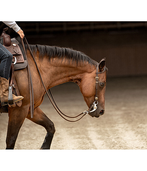 Bridon deux oreilles  Leaves