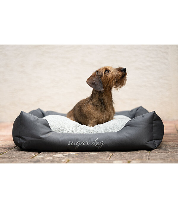 Panier pour chien  Dreamy