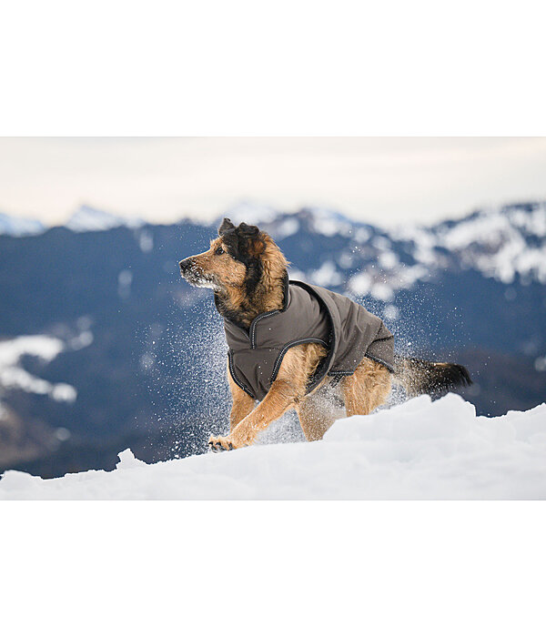 Manteau pour chien avec doublure polaire  Eddie 200 g