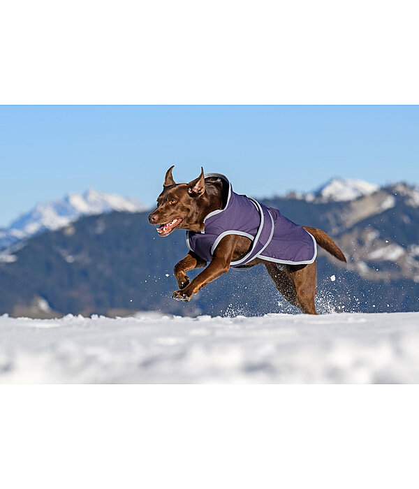 Manteau pour chien avec doublure polaire  Eddie 200 g