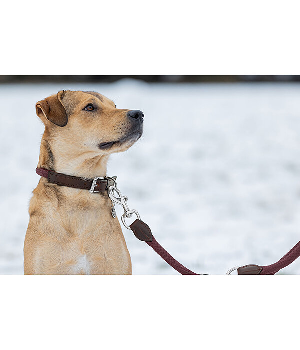 Collier pour chien  Nature Rope