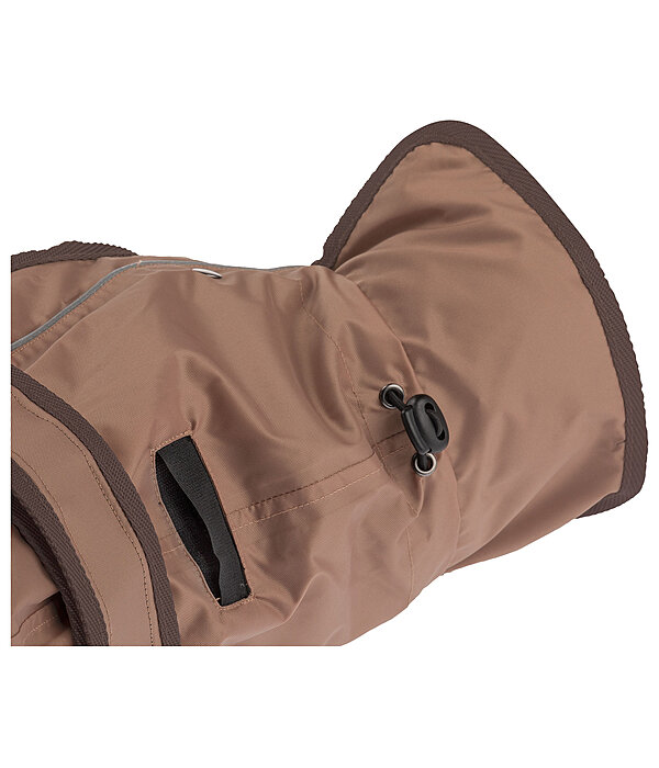 Manteau pour chien 2 en 1  Ally