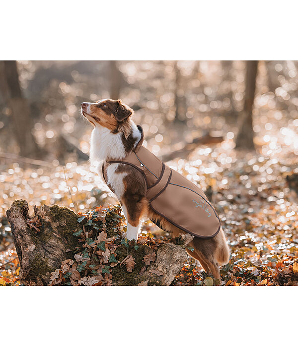 Manteau pour chien 2 en 1  Ally