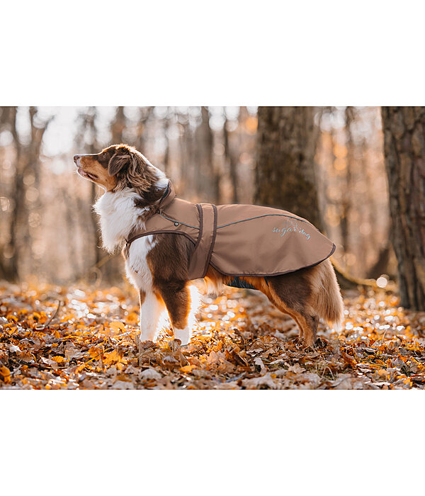 Manteau pour chien 2 en 1  Ally