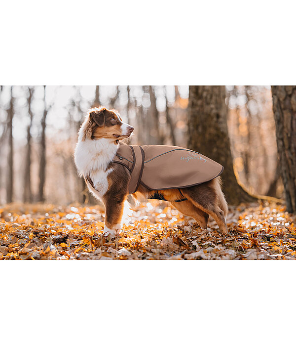Manteau pour chien 2 en 1  Ally