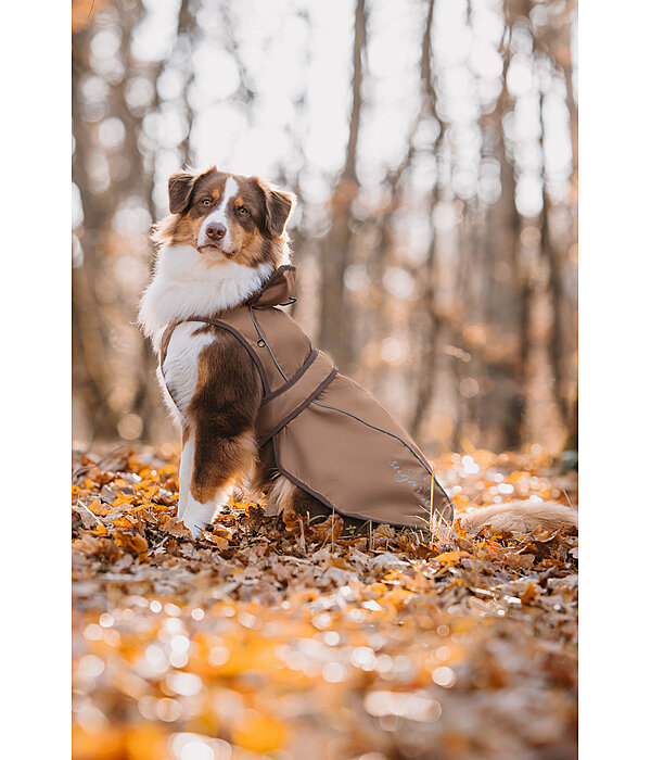 Manteau pour chien 2 en 1  Ally