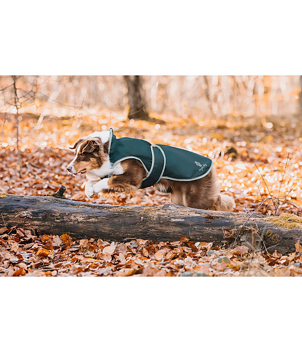 Manteau de pluie pour chien  Eldoro II avec doublure intrieure en polaire, 0g