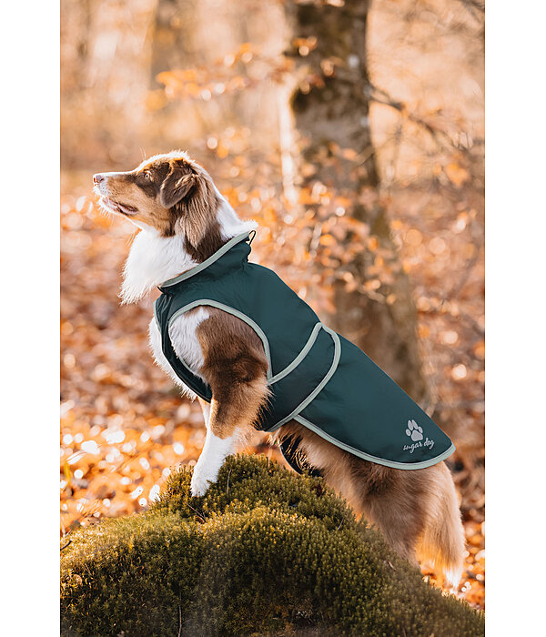 Manteau de pluie pour chien  Eldoro II avec doublure intrieure en polaire, 0g