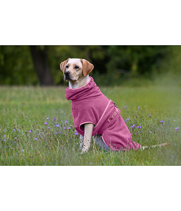 Chemise s�chante pour chien  Dry Dog II