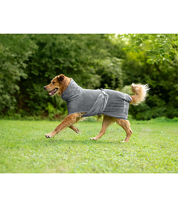 Chemise s�chante pour chien  Dry Dog II