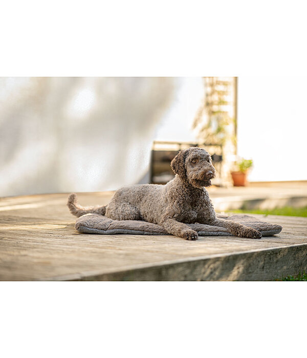 Tapis pour chien  Let Me Sleep