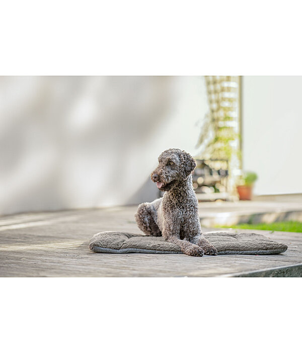 Tapis pour chien  Let Me Sleep