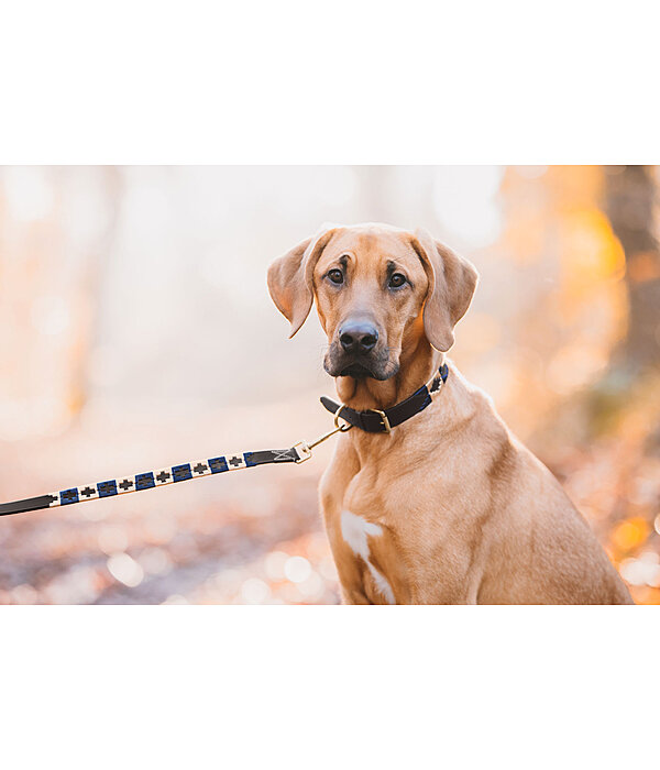 Ensemble collier et laisse en cuir pour chien  Polo Sports