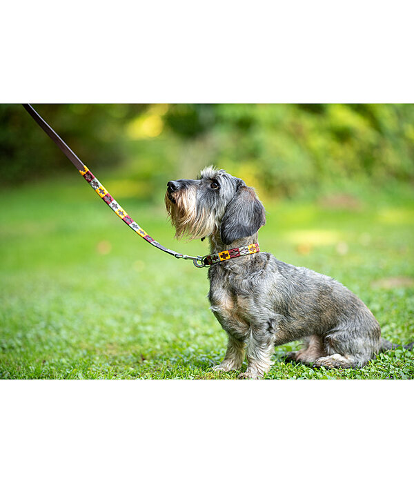 Ensemble collier et laisse en cuir pour chien  Polo Sports