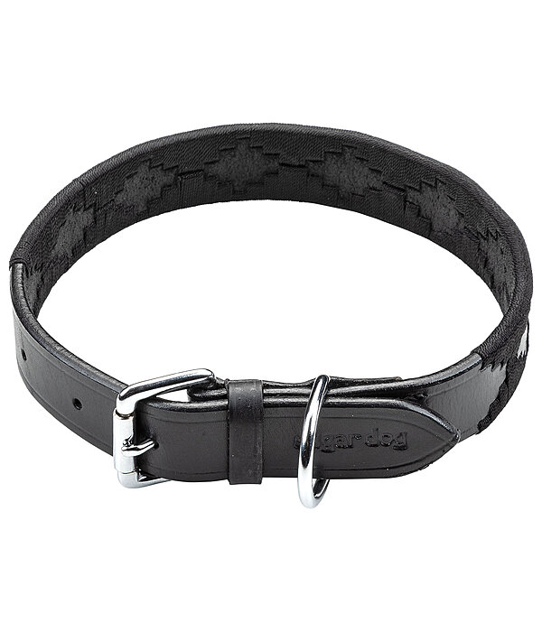 Ensemble collier et laisse en cuir pour chien  Polo Sports