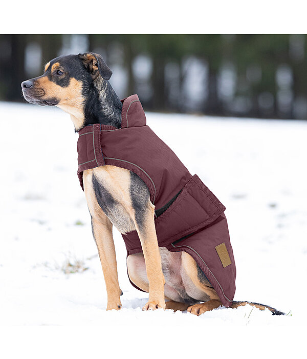 Manteau d'hiver pour chien  Beaver Creek, 400 g