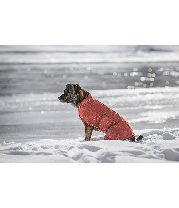 Manteau polaire pour chien  Indian Summer