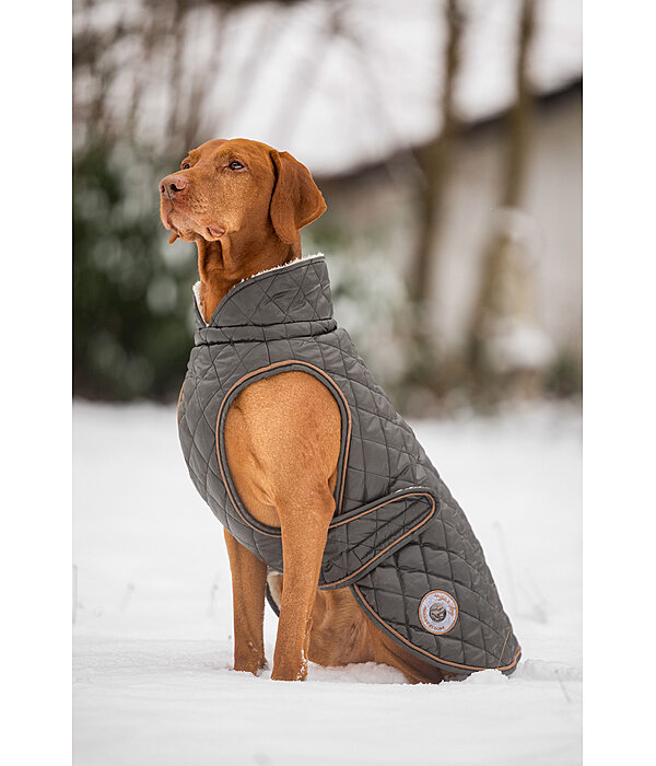 Manteau avec doublure en polaire Teddy pour chien  Archie, 160 g