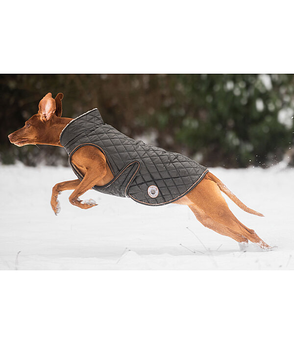 Manteau avec doublure en polaire Teddy pour chien  Archie, 160 g