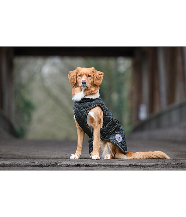 Manteau avec doublure en polaire Teddy pour chien  Archie, 160 g