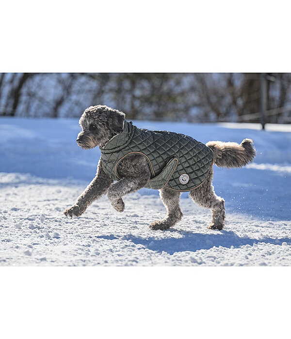 Manteau avec doublure en polaire Teddy pour chien  Archie, 160 g