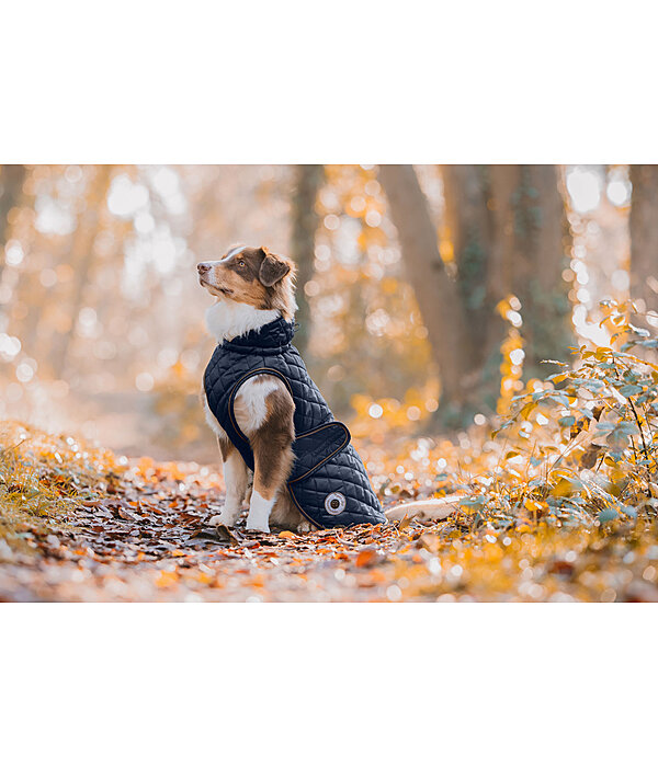 Manteau avec doublure en polaire Teddy pour chien  Archie, 160 g