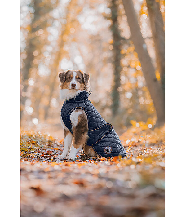 Manteau avec doublure en polaire Teddy pour chien  Archie, 160 g