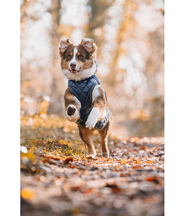 Manteau avec doublure en polaire Teddy pour chien  Archie, 160 g