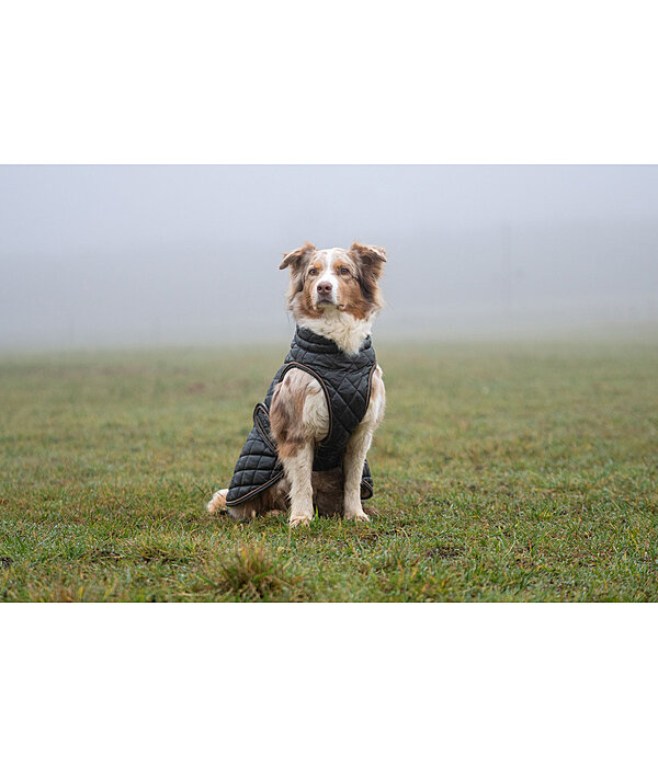 Manteau avec doublure en polaire Teddy pour chien  Archie, 160 g