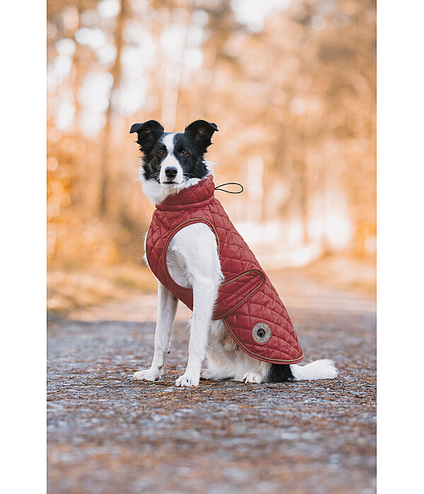 Manteau avec doublure en polaire Teddy pour chien  Archie, 160 g