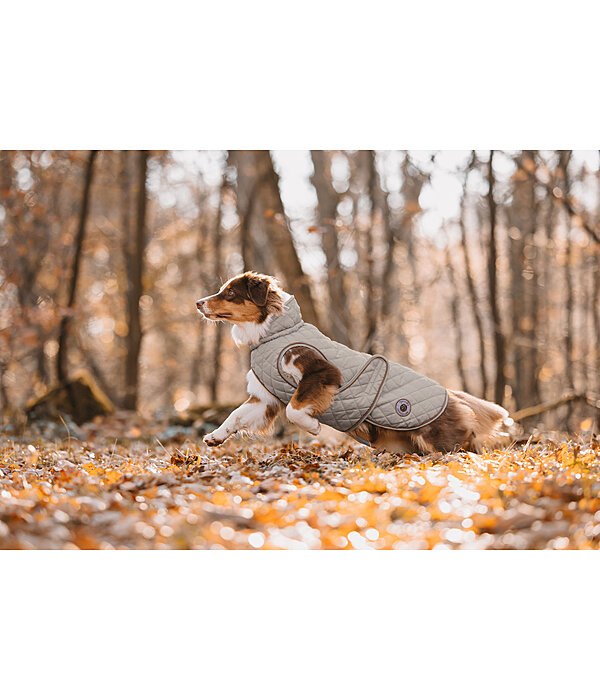 Manteau avec doublure en polaire Teddy pour chien  Archie, 160 g