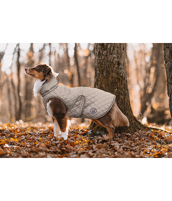 Manteau avec doublure en polaire Teddy pour chien  Archie, 160 g