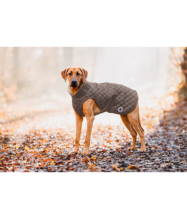 Manteau avec doublure en polaire Teddy pour chien  Archie, 160 g