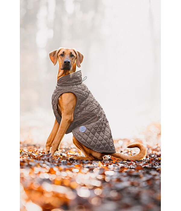 Manteau avec doublure en polaire Teddy pour chien  Archie, 160 g